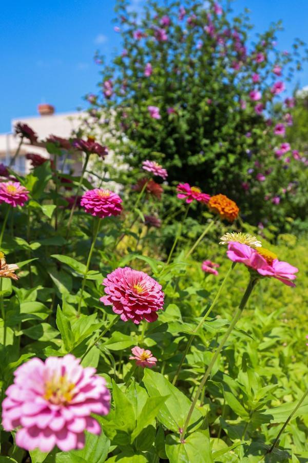 Apartment Garden M&M Дубровник Екстериор снимка