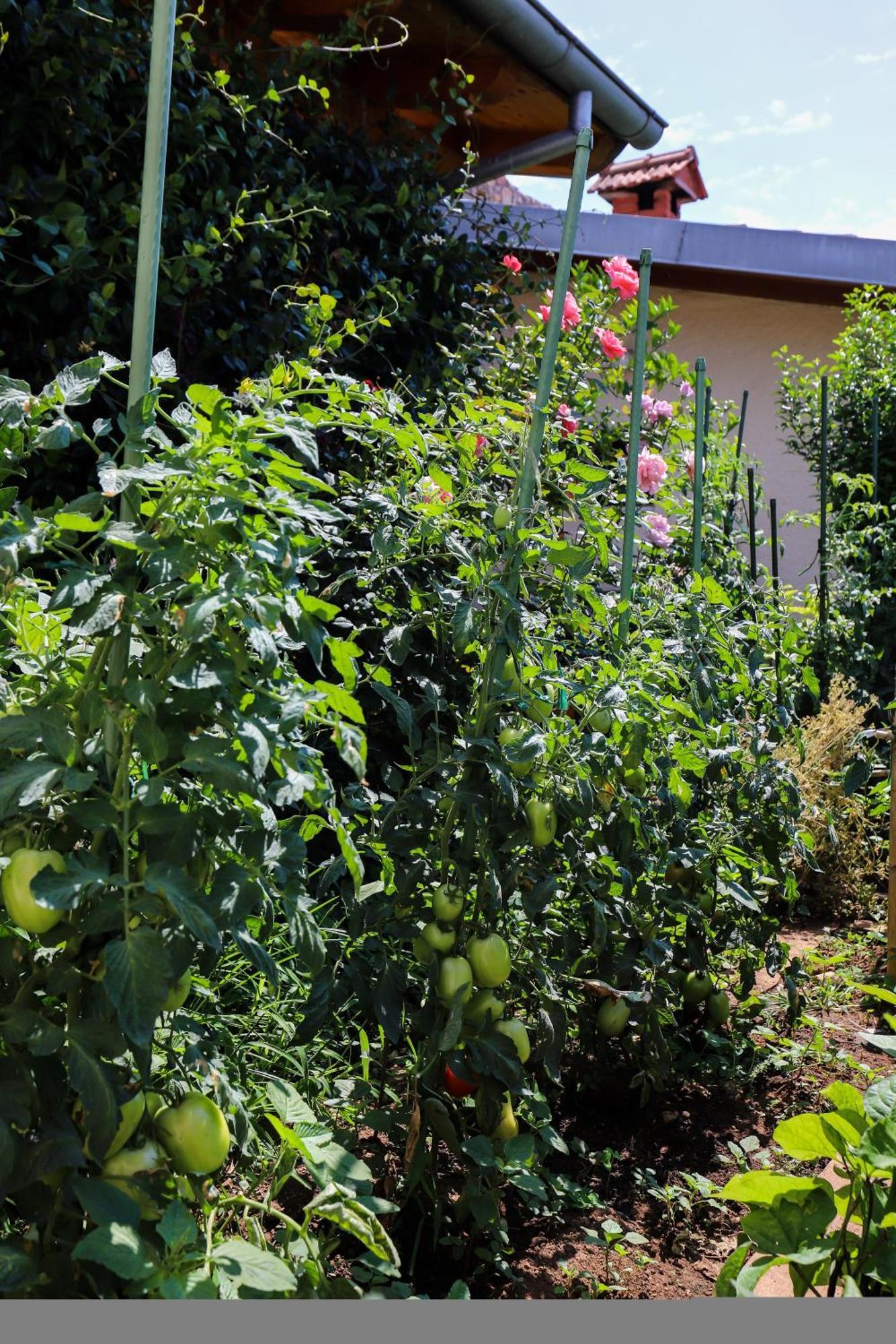 Apartment Garden M&M Дубровник Екстериор снимка